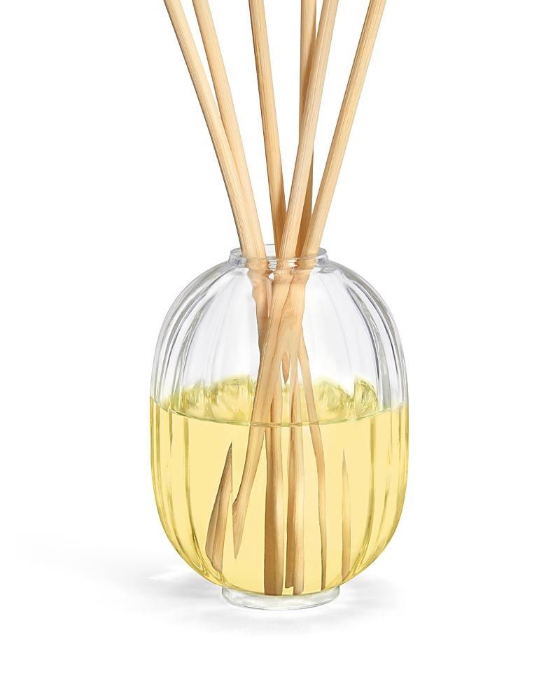 Diptyque Sapin (Pine Tree) Home Fragrance Reed Diffuser 6.5 oz.