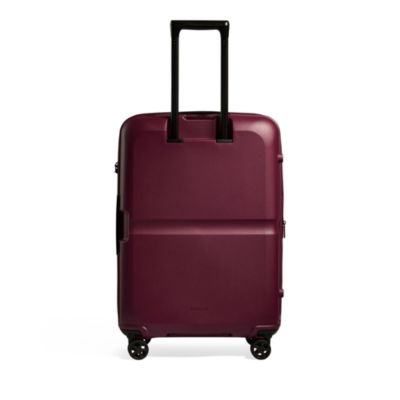 Single Stripe Medium Spinner