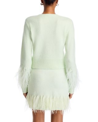 Briana Feather Trim Crewneck Sweater