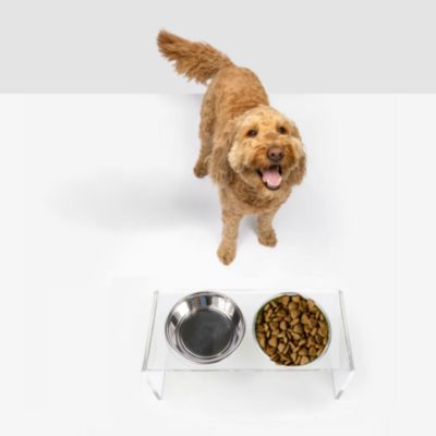 Medium Clear Double Bowl Pet Feeder, 2 Quart Bowls