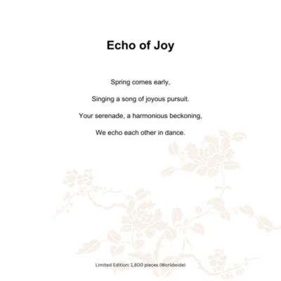 Echo of Joy