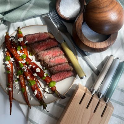 Matte Stainless Steel Set of 4 Table Knives and Holder