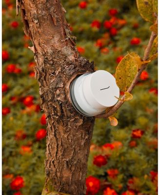 Enriched by Nature Cream