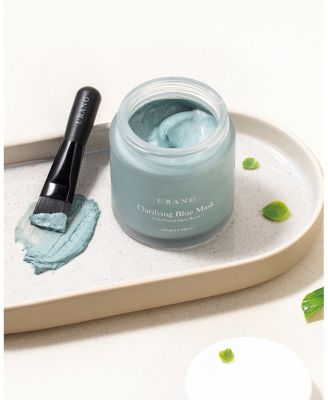 Clarifying Blue Mask