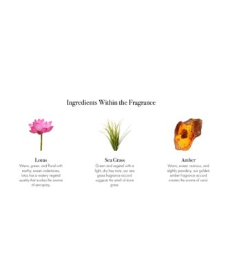 Sea &amp; Dune Reed Diffuser Refill, 8.4 oz.