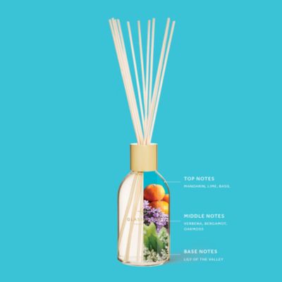Passion In Positano Verbena &amp; Basil Reed Diffuser, 8.4 oz.