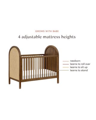 Bondi Cane 3-in-1 Convertible Crib with Toddler Bed Conversion Kit in Natural Walnut