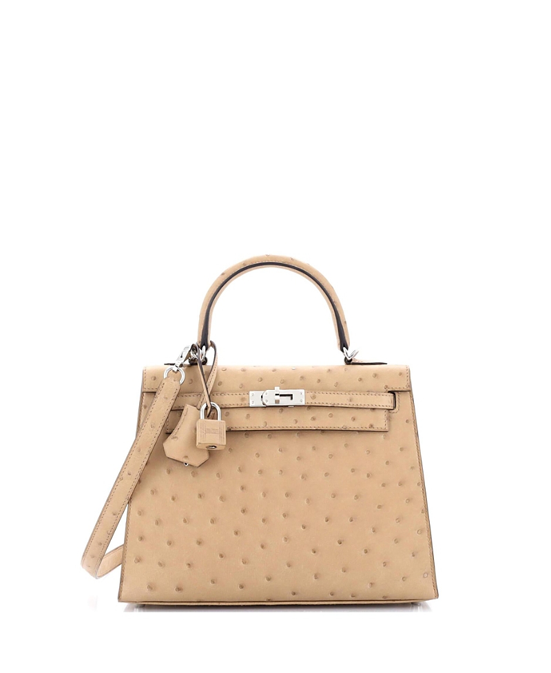 Pre-owned Pre-owned Hermes Hermes Hermes Kelly 25 Handbag Brown Ostrich With Palladium Hardware In Chai