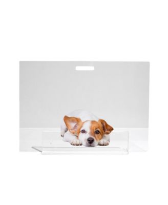 Low Clear Pet Gate Panel
