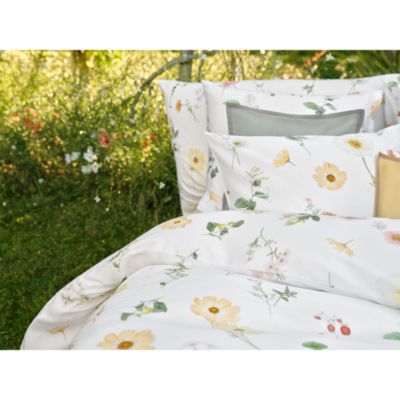 Zinnia Blanc Sham, Boudoir