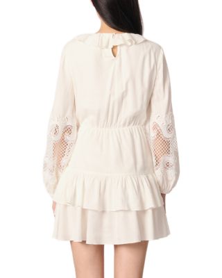 Ruffled and Embroidered Sleeve Dress