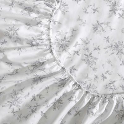 Printed Cotton Sateen 4 Piece Sheet Set, Queen