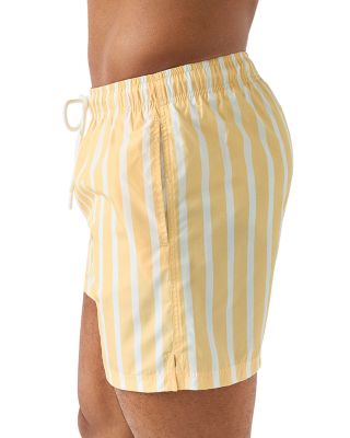 Striped Swim Shorts