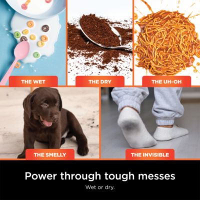 HydroVac MessMaster Cordless 3 in 1 Cleaner