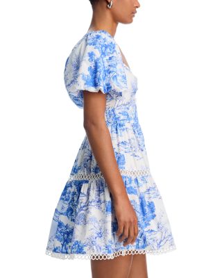 Toile Puff Sleeve Dress - Exclusive 