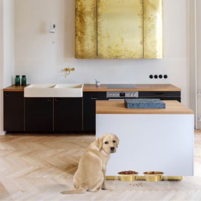 Overflow Feeder Tray