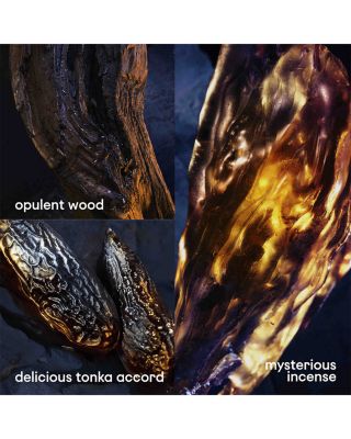 Invictus Victory Elixir Parfum Intense 3.4 oz.