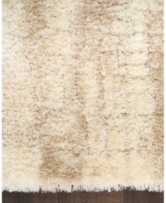 Nourison Home Dreamy Shag DRS01 Area Rug, 4' x 6'