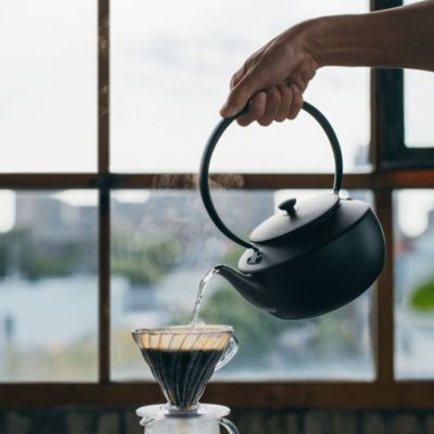 MoonKettle Electric Kettle