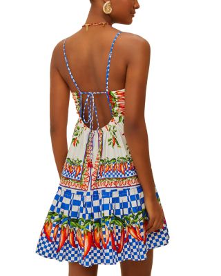 Picnic Peppers Ainika Mini Dress