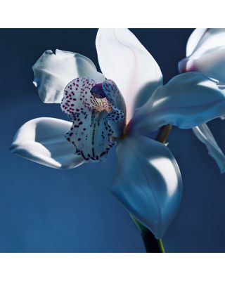 Atelier des Fleurs Orchid&eacute;e de Minuit Eau de Parfum 1.6 oz.