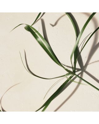 Atelier des Fleurs Papyrus Eau de Parfum 1.6 oz.