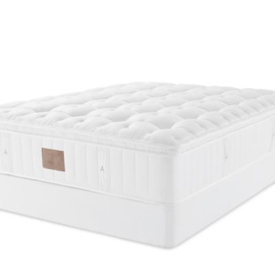 Phoebe Firm Euro Top Mattress - Exclusive