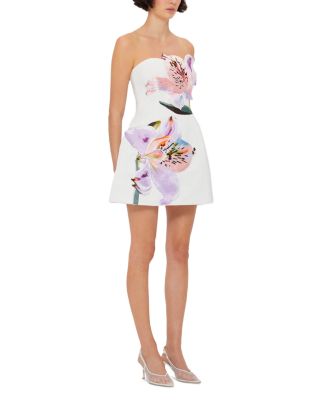 Rosario Appliqué Floral Bustier Mini Dress