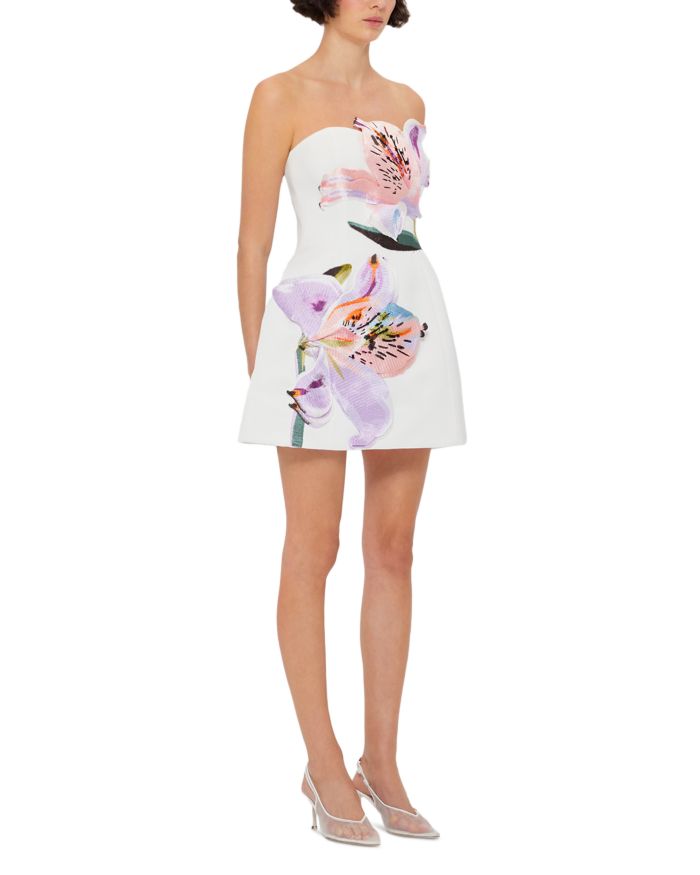 Rosario Appliqué Floral Bustier Mini Dress