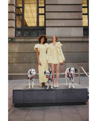 Rosario Tweed Petal Bustier Mini Dress