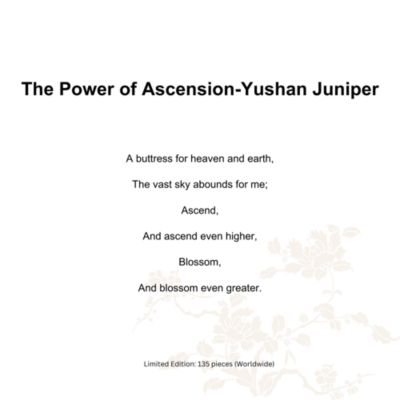 The Power of Ascension Yushan Juniper Crystal Art Piece, Limited Edition