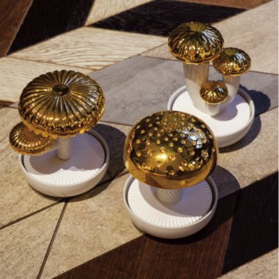 Boletus 1 Diffuser - On The Prairie