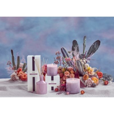 LAFCO - Midnight Cactus Home Fragrance Collection
