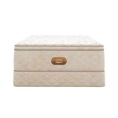 Harmonia Dolce Sonno Plush Pillow Top Mattress - Exclusive
