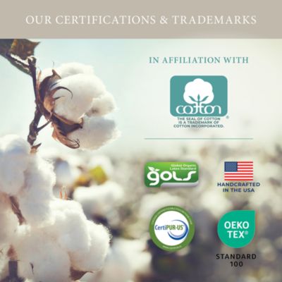 Phoebe Firm Euro Top Mattress - Exclusive