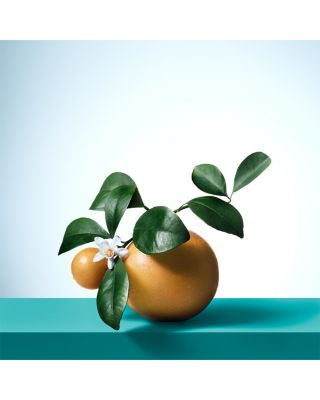 Tiffany & Love for Her Eau de Parfum 3 oz.