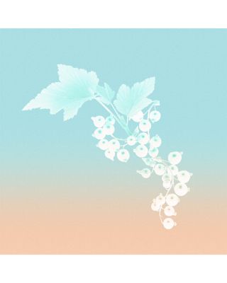 Rose Gold Eau de Parfum 1.6 oz.