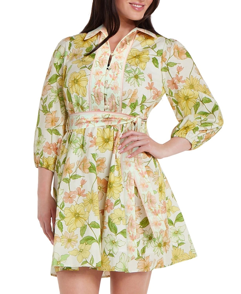 Hermoza Halle Mini Dress In Sights Of Spring In Green