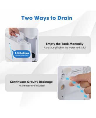  100-Pint Dehumidifier for Home & Basements with Smart App & Alexa Control