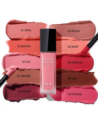 Dior Forever Blush Soft Filter