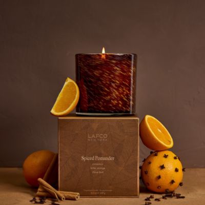 Spiced Pomander Signature Candle, 15.5 oz.
