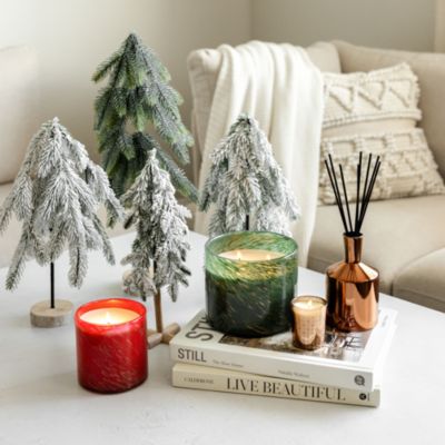 Absinthe Plum Classic Candle, 6.5 Oz