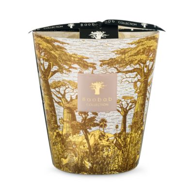 Max 16 Sacred Trees Boukani Candle, 38.72 oz.