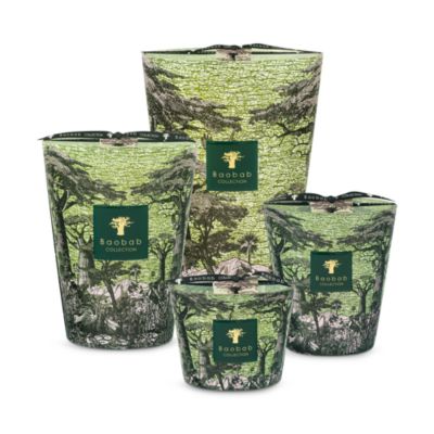 Max 10 Sacred Trees Touba Candle, 17.6 oz.
