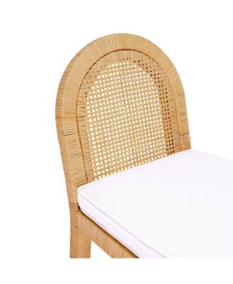  Amara Rattan and Performance Fabric Arched Back Dining Chair in Natural