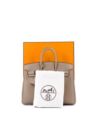  Birkin 25 Handbag Light Togo with Palladium Hardware