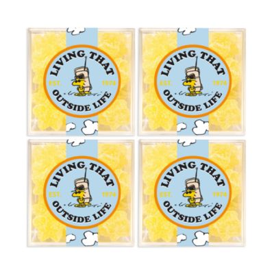 Snoopy Living That Outside Life Candy Cubes, Set of 4