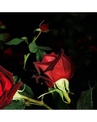 Le Vestiaire des Parfums Velours Eau de Parfum 4.2 oz.