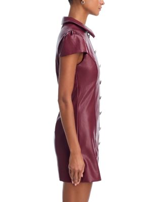Anika Faux Leather Mini Dress