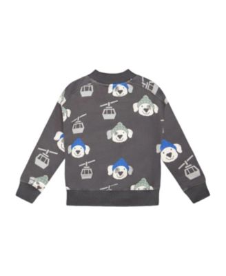 Boys' Fleece Pullover Sweatshirt - Baby